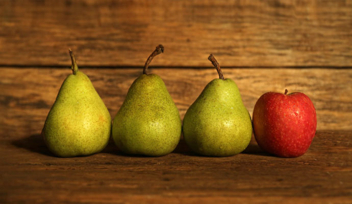 Früchte Rychard | Äpfel & Birnen