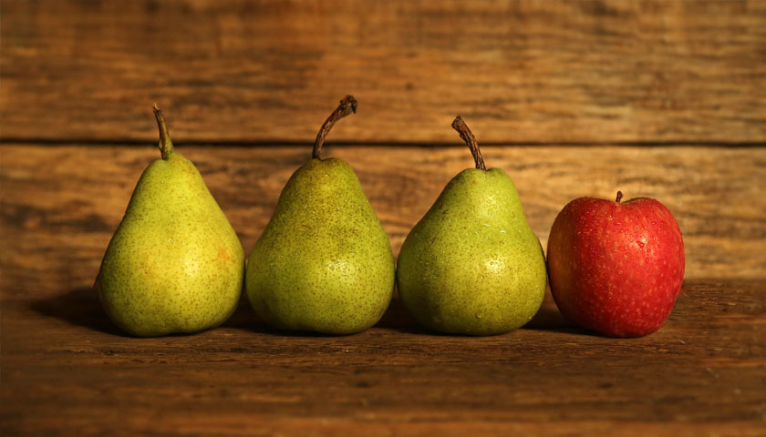 Früchte Rychard | Äpfel & Birnen